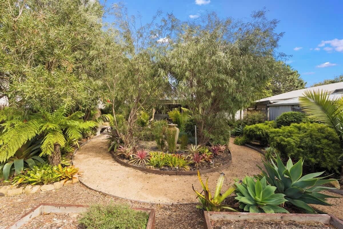 A garden with a variety of plants and a central water feature.