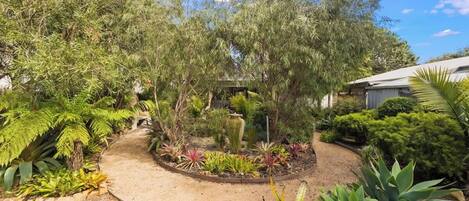 A garden with a variety of plants and a central water feature.