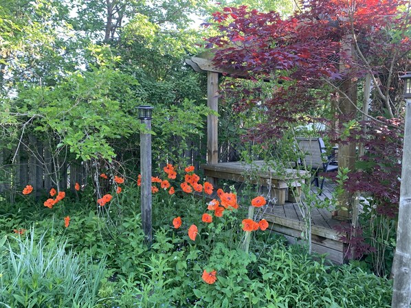 Terrasse/gårdhave