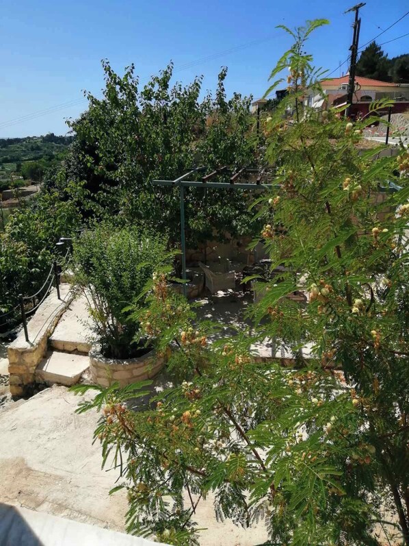 Terrain de l’hébergement 