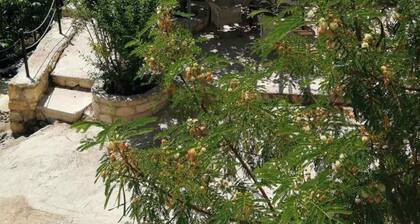 Island Village House