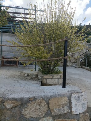 Terrain de l’hébergement 