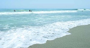 Playa en los alrededores 