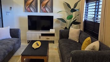 Smart TV, Netflix, streaming services