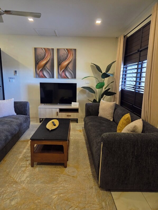 Smart TV, Netflix, streaming services