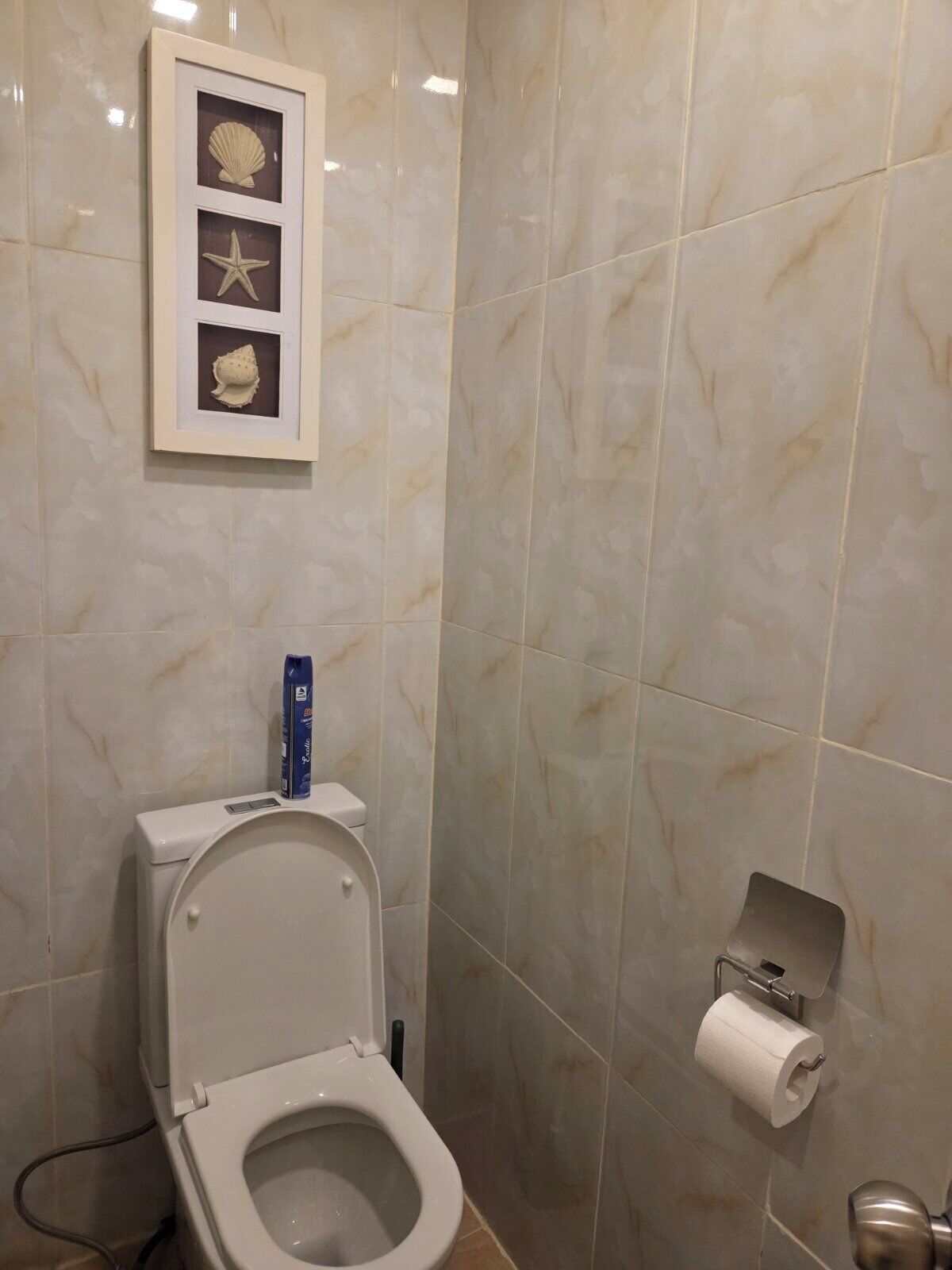 A bathroom with a toilet, marble tiles, a framed picture of seashells and starfish, and a toilet paper holder.