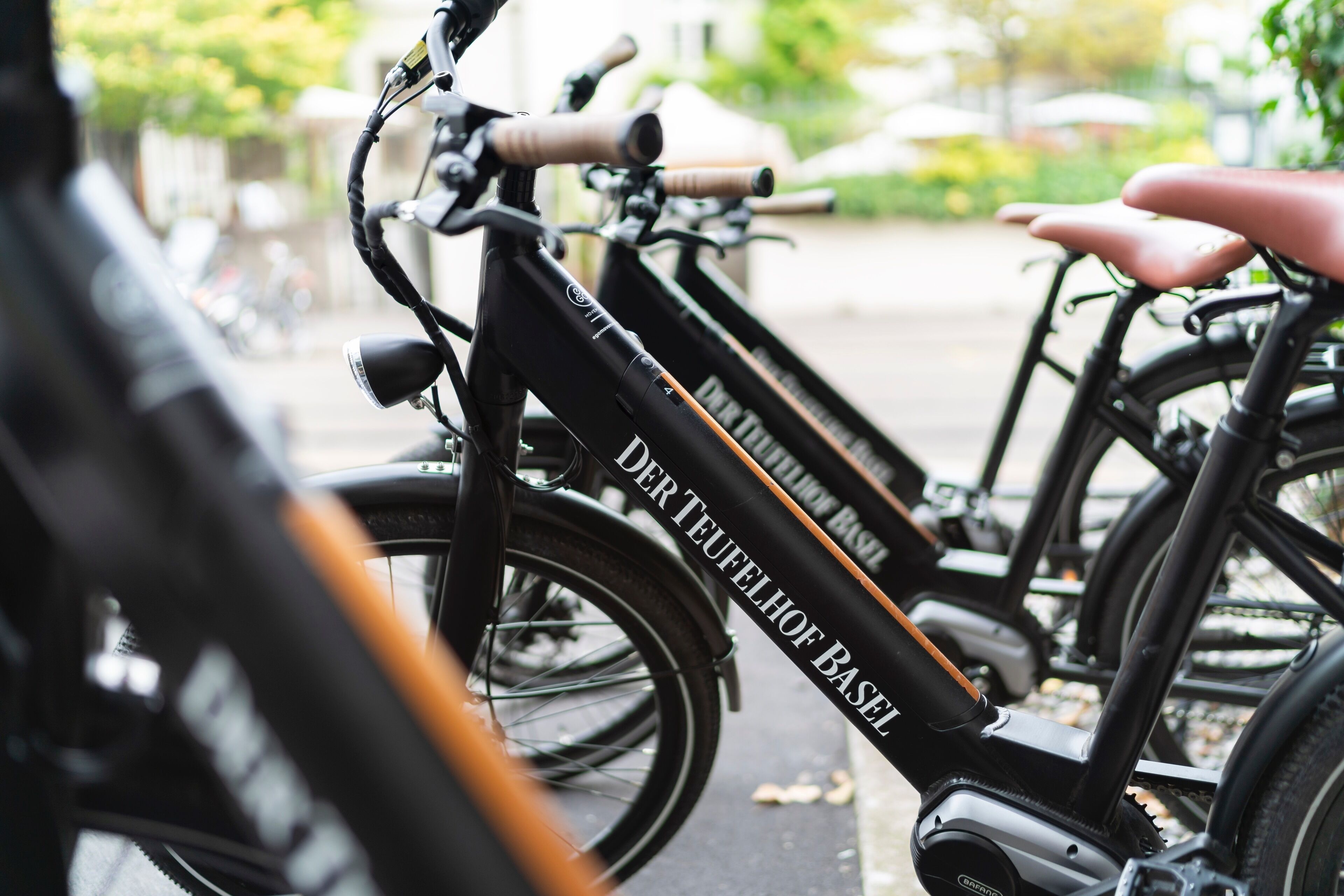 Foto - Boutique Hotel Waldhaus beider Basel