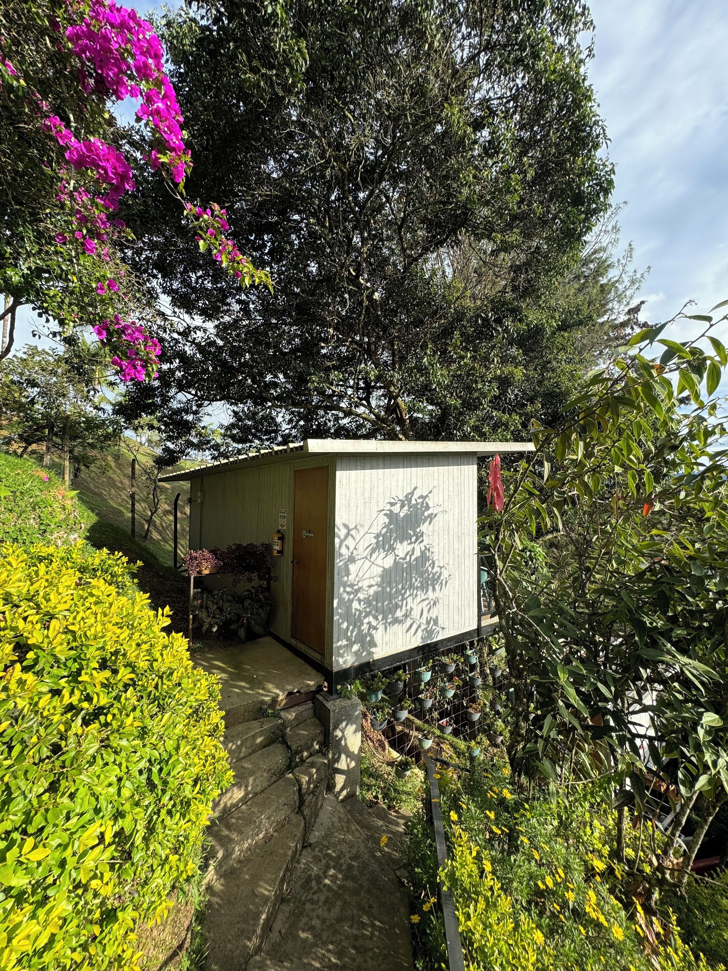 Foto - La Madriguera