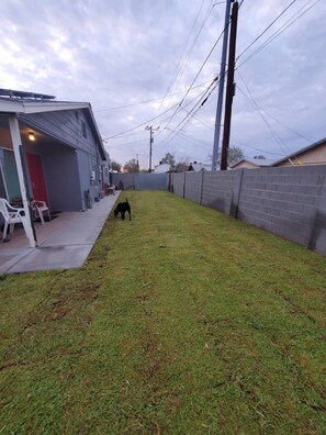 A backyard with a dog, a house, and a fence.