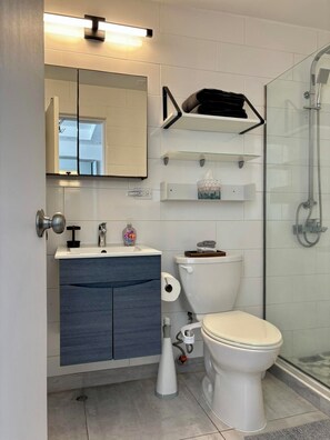 Dusche, Haartrockner, Handtücher, Seife