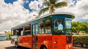 A vintage bus with a green and orange exterior parked on a street. - Bay & Gulf Views. Waterfront+heated quiet pool+AC+2-minute walk to beach (Bradenton Beach)