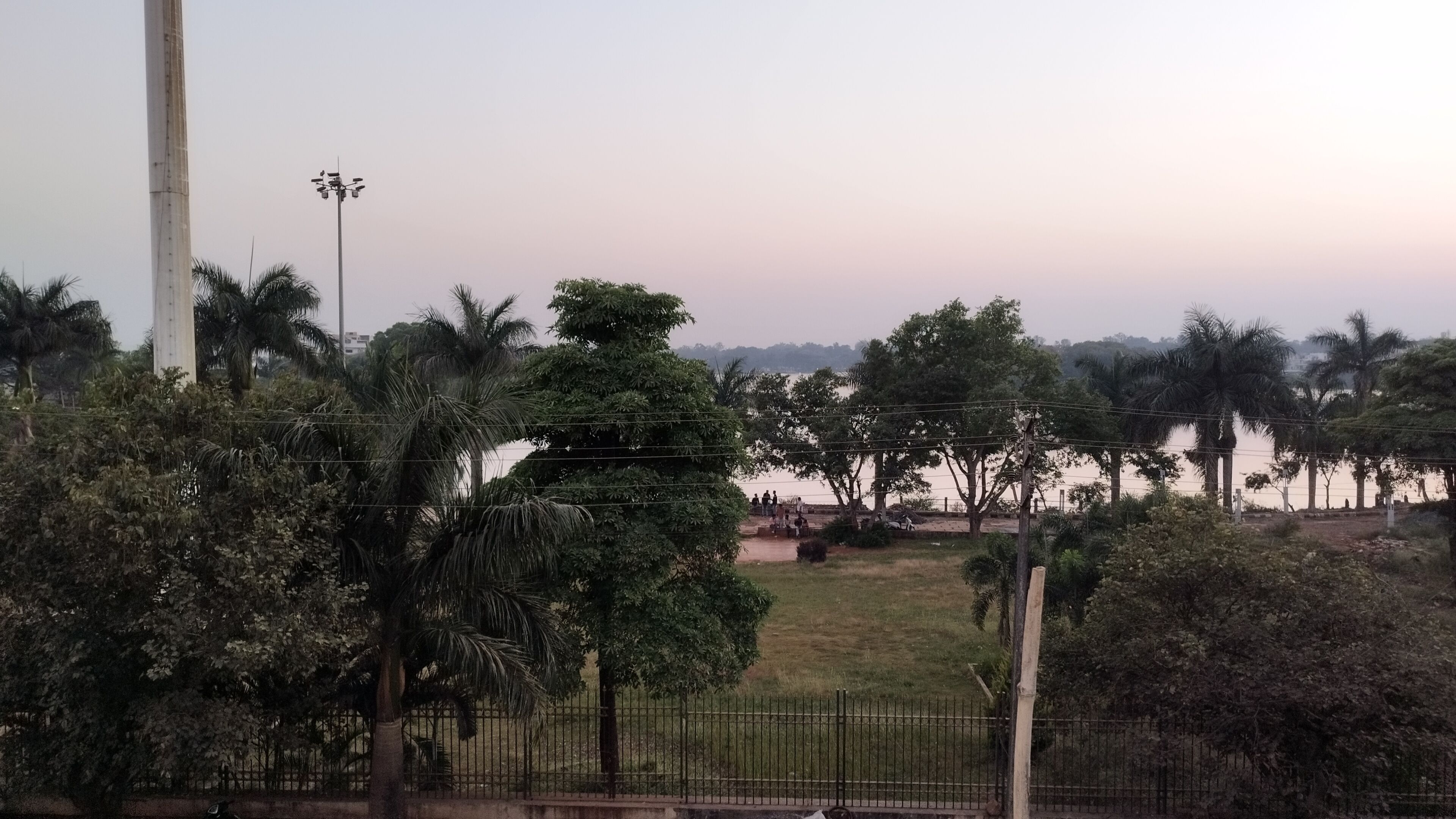 A park with a grassy area, palm trees, and a body of water in the background.