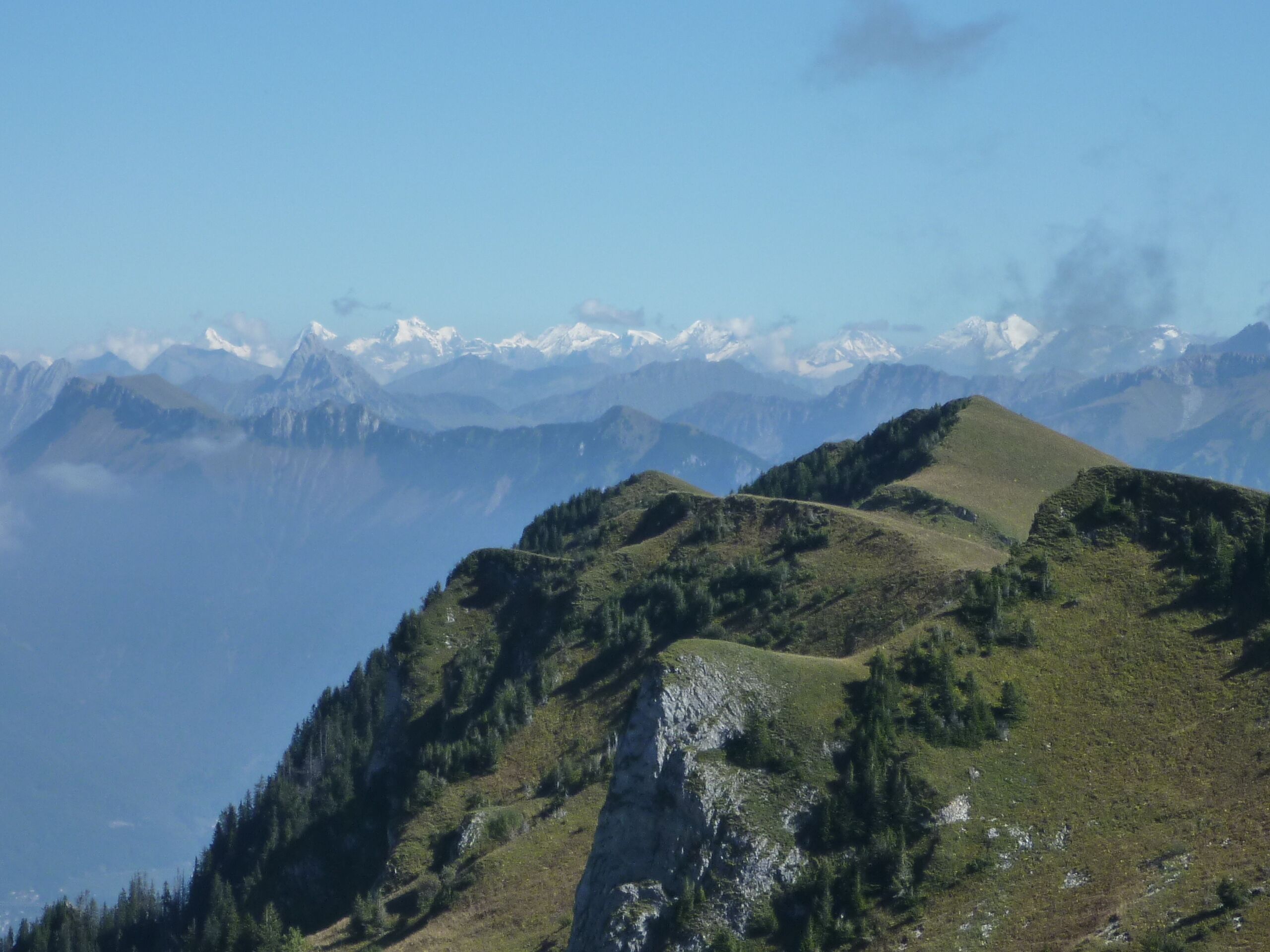 Looking east from the Mémises towards the snowy peaks of the Swiss Alps.