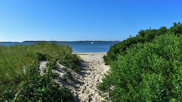Un sentier de sable longeant la plage et menant à une mer calme, sous un ciel dégagé.