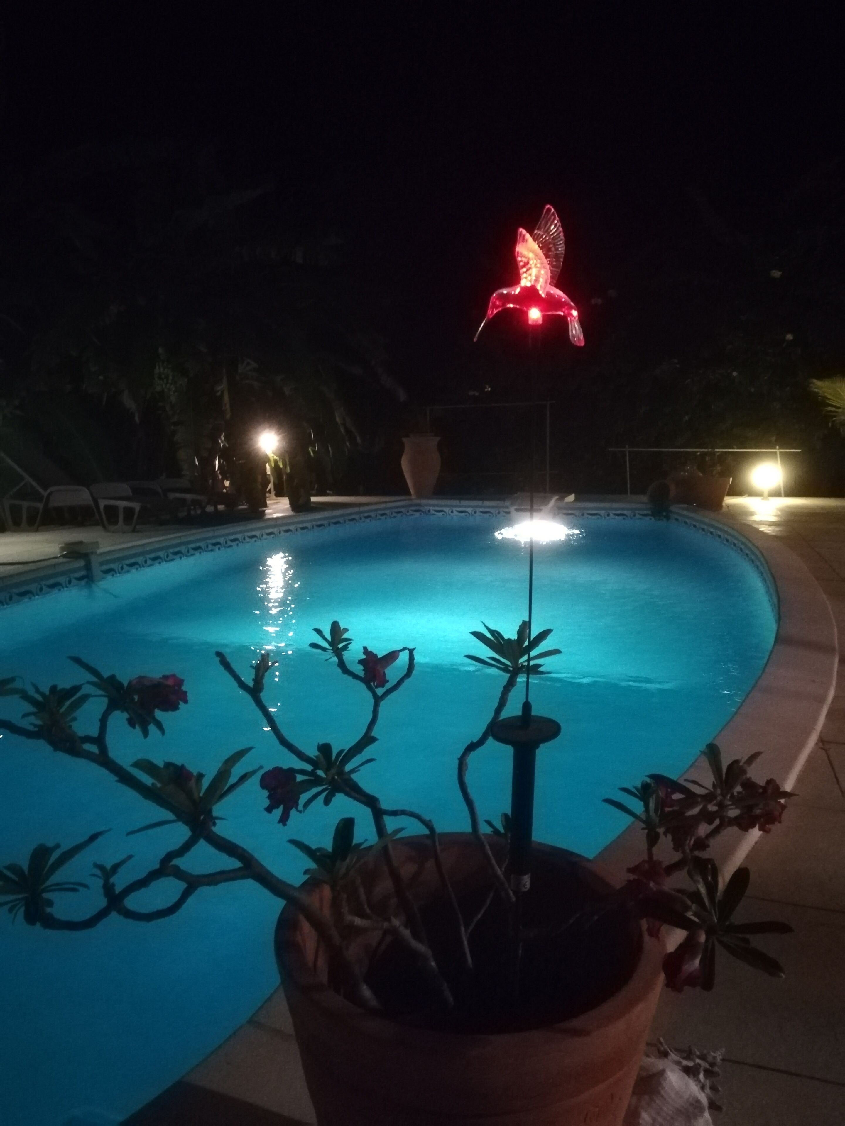 Piscina climatitzada 