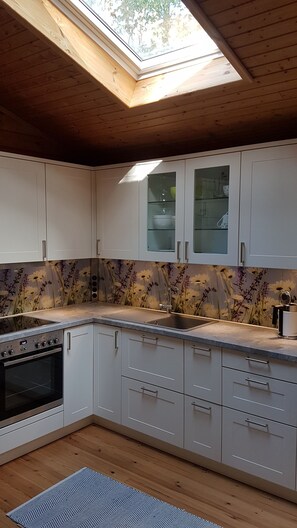 Fridge, oven, stovetop, dishwasher