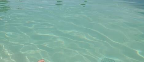 室外游泳池,恒温泳池