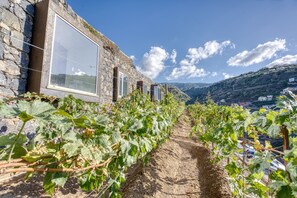 Exterior - Socalco Nature Calheta (Calheta)