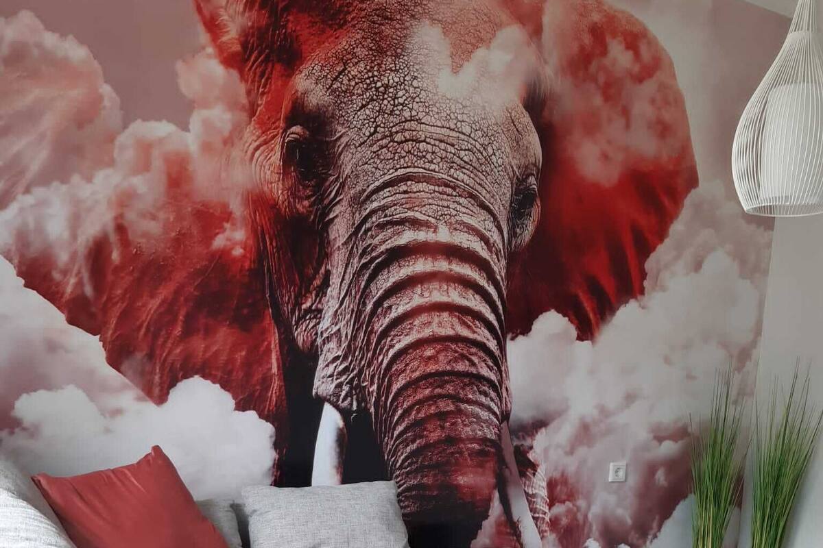 A modern living room with a grey sofa, red cushions, a white coffee table, and a large elephant mural on the wall.