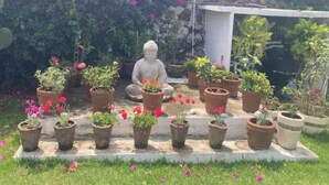 A garden with a Buddha statue surrounded by potted plants and flowers. - Beautiful Guest House with Pool, Jacuzzi & Garden (Lomas de Cocoyoc)