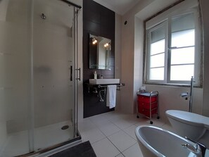 Shower, hair dryer, bidet, towels