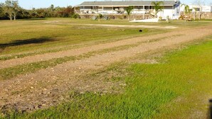 Een groot, open grasveld met een gebouw op de achtergrond.
