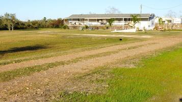 A large, open grassy area with a building in the background.