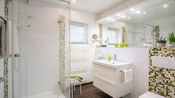 Shower, hair dryer, towels