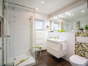 Chuveiro, secador de cabelo, toalhas de banho 