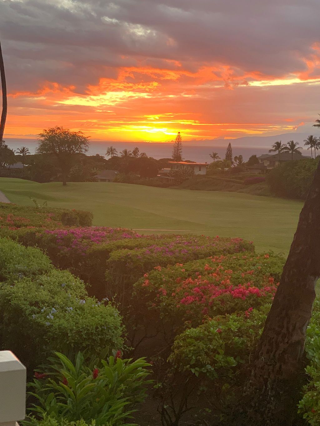 A golf course with a sunset view, surrounded by lush greenery and flowering plants.