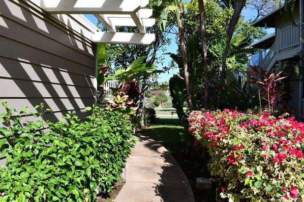 Uma passagem ladeada por vegetação exuberante e plantas floridas, conduzindo a uma área residencial com cerca branca e uma casa com varanda.
