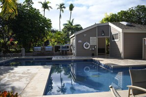 Área de piscina com posto de salva-vidas, cercada por palmeiras e uma área de estar coberta.