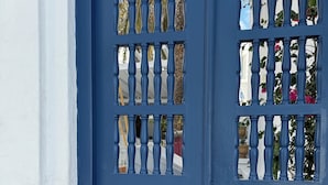 A blue door with a metal handle and a keyhole, featuring a decorative glass panel with a palm tree and flowers. - Enjoy the Fall & Winter Months in This Charming Home in Beautiful Marietta  (Marietta)