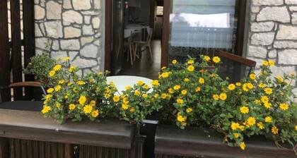 Guesthouse Family Bosnic -One bedroom apartment with Terrace