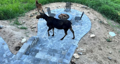 Private, Cozy, and Remote Mountain Apartment in Walk-out Garden Level w/Patio.