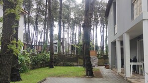A courtyard with a paved walkway, surrounded by trees and a building with a white facade and columns. - House by the sea Kaprovani Shekvetili Batumi (Ureki)