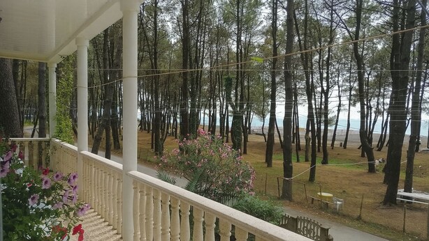 A covered outdoor area with a staircase leading down to a grassy area with trees. - House by the sea Kaprovani Shekvetili Batumi (Ureki)