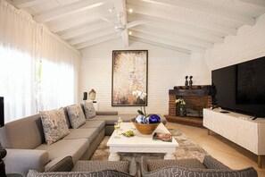 Smart-TV, Kamin