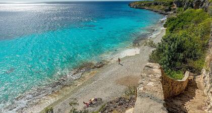 NEWLY RENOVATED Ocean Front 2 bedroom/ 2 bath, pristine water, divers paradise.