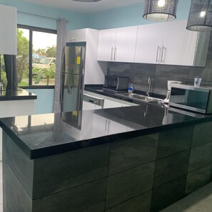 A modern kitchen with a black countertop, stainless steel appliances, and light blue walls. - NEWLY RENOVATED Ocean Front 2 bedroom/ 2 bath, pristine water, divers paradise. (Kralendijk)