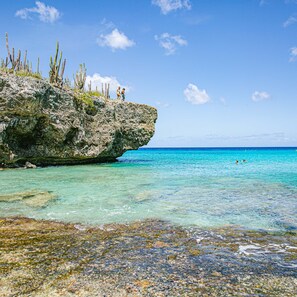 A rocky coastline with clear turquoise water and a small group of people on the cliff. - NEWLY RENOVATED Ocean Front 2 bedroom/ 2 bath, pristine water, divers paradise. (Kralendijk)