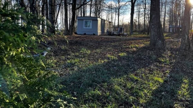 A small, single-story cabin in a wooded area with a clear sky.