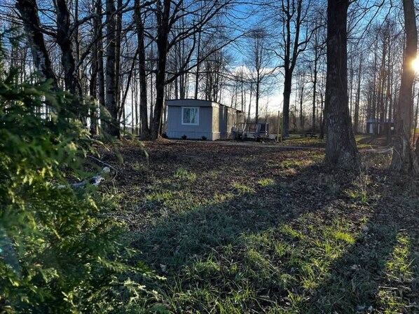 Une petite cabane à un seul étage, située dans une zone boisée, sous un ciel dégagé.