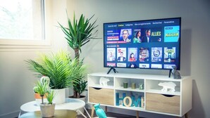 Un salon avec un téléviseur diffusant une chaîne d’information, un meuble blanc avec des tiroirs et plusieurs plantes en pot.