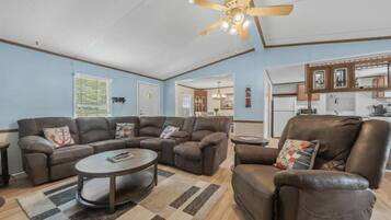 TV, fireplace, books, stereo