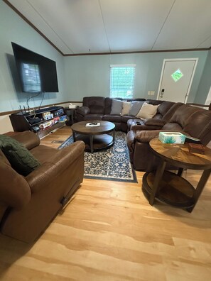 TV, fireplace, books, stereo