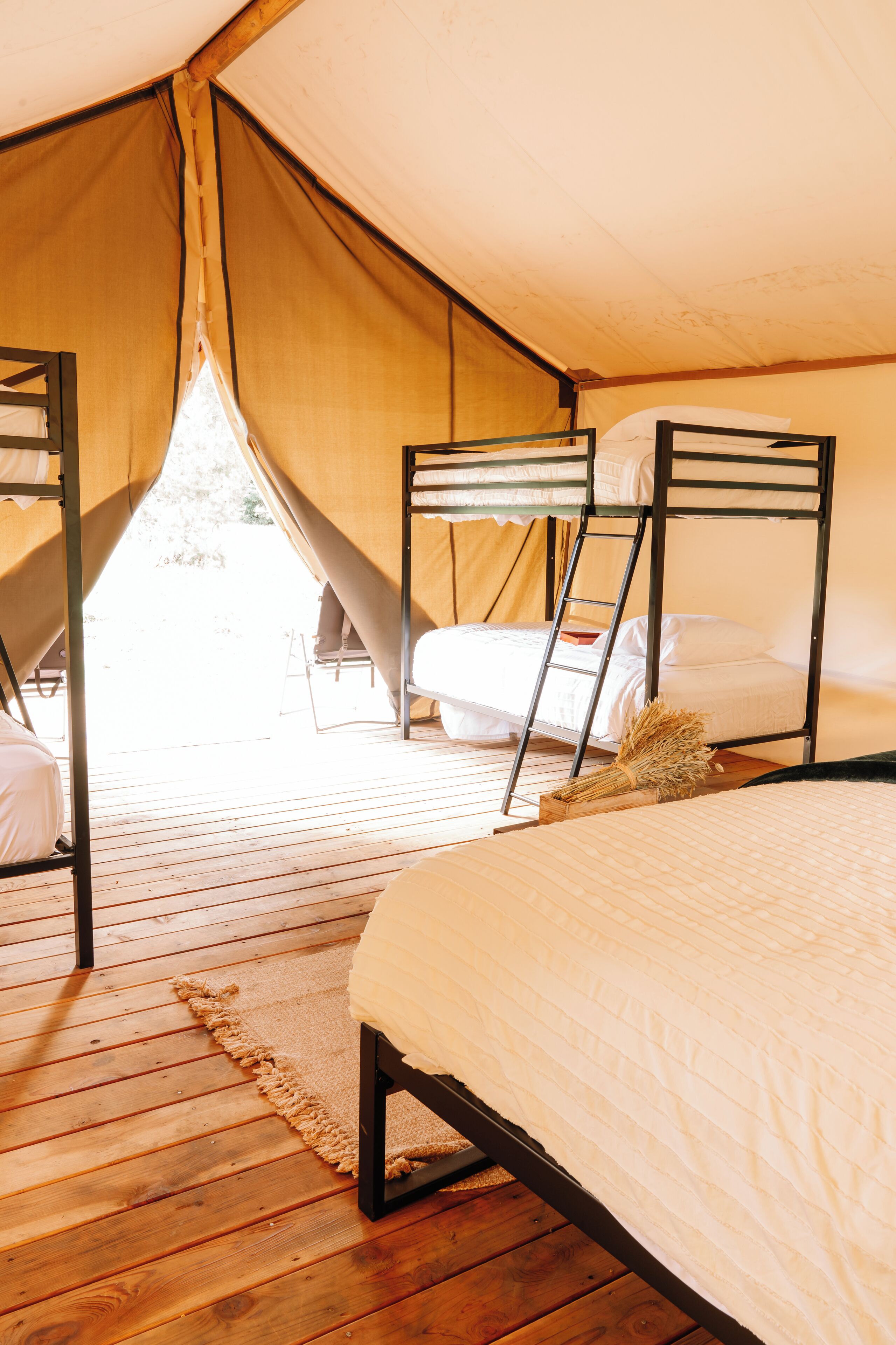 A tent with two bunk beds, a wooden floor, and a view of the outdoors.