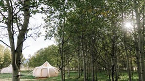 패밀리 텐트 (Yellowstone Fam Tent Sleeps 5 w/ King)
