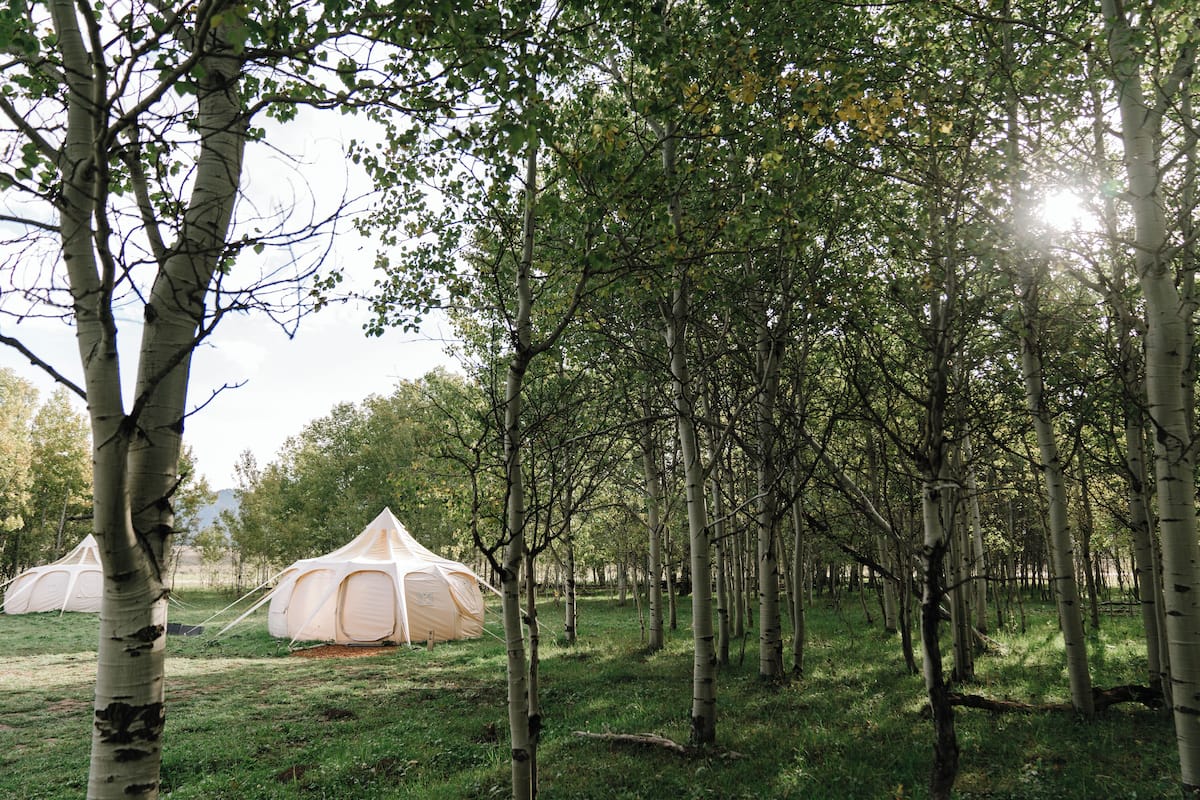 Yellowstone Family Tent, Sleeps 5