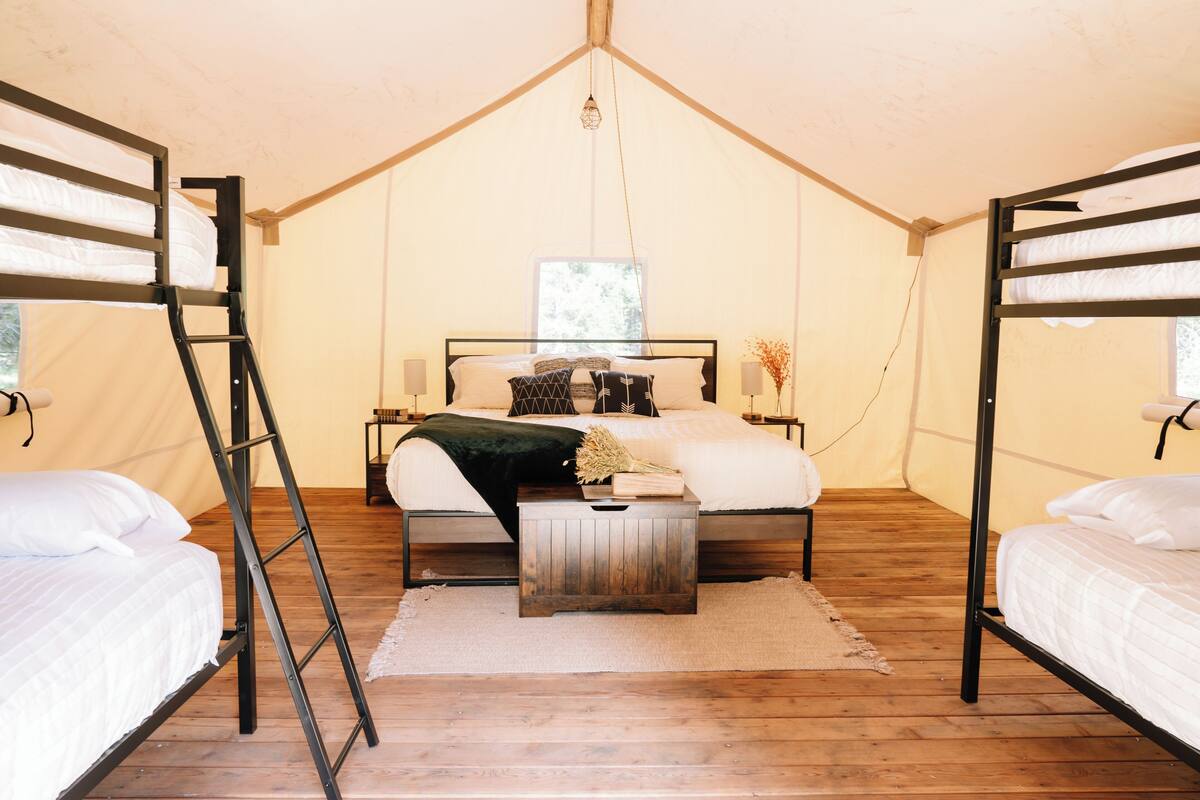 A tented accommodation room with a bunk bed, a ladder, a bedside table, and a window.